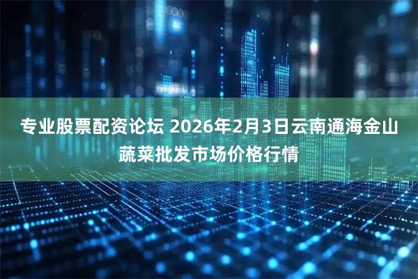 专业股票配资论坛 2026年2月3日云南通海金山蔬菜批发市场价格行情